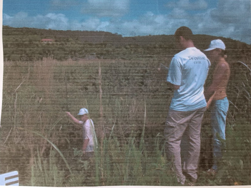 Field work: streamflow measurement in the Niquim river.